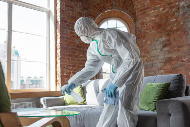 Professional Mold Inspection in Reno, OH