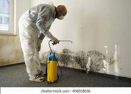 Biohazard Mold Removal in Reno, OH